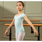 Sansha 51BO1005N-F Junon tulle inset, short-sleeved ballet dress with rhinestones