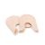 Capezio BH006U Cozy Toes Zehenpolster