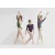 Ballet Rosa Lyman Long Sleeve Leotard