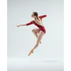 Ballet Rosa Aly velvet patterned dress with half-length sleeves