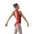 Ballet Rosa Amelie Csipkés Hátú Dressz