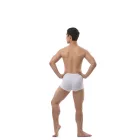 Ballet Rosa Elia Short