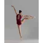 Ballet Rosa Honore Ballet Dress with Metallic Accents