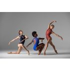 Ballet Rosa Mirielle rochie cu guler înalt și inserții de dantelă, microfibră