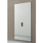 Dinamica Ballet “AMADEUS” Fixed Mirror