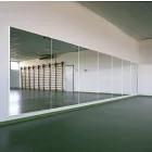 Dinamica Ballet “FIGARO” Fixed Mirror