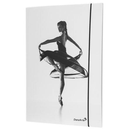 DanzArte “Turning Pointe” A4 matt laminated folder