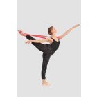 Gaynor Minden Flexibility Band