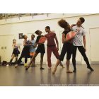 Harlequin Cascade Tanzteppich