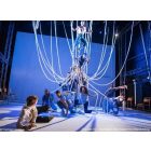 Megfordítható vinyl tánc- és balettszőnyeg - Reversible Pro