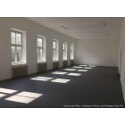 Megfordítható vinyl tánc- és balettszőnyeg - Reversible Pro