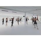 Harlequin Reversibe Pro Wendbarer Tanz- und Ballettboden aus Vinyl