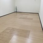 "Infinity Dress", placă de balet din furnir flexibil tratat