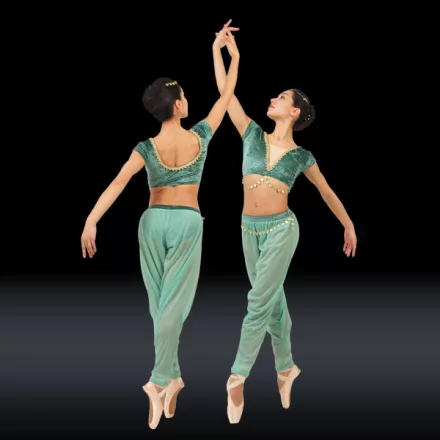 Tedansart/Majoca Odalisca Pants Costume MAC510