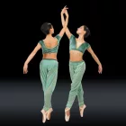 Tedansart/Majoca Odalisca Pants Costume MAC510