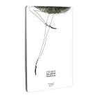 DanzArte “Poses” A4 matt laminated notebook