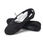 Sansha No.1C Canvas Ballet Practice Shoes
