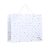 DanzArte PB1 TNB06 Gift Bag