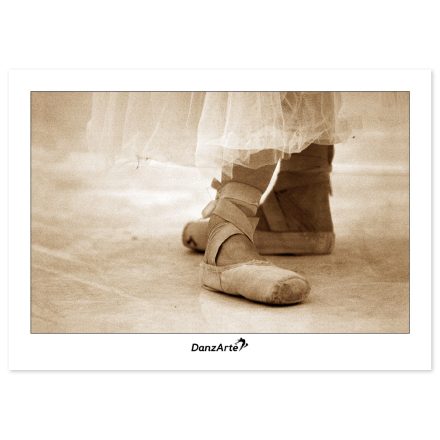 DanzArte "Pointe Shoes Sepia" Carte poștală