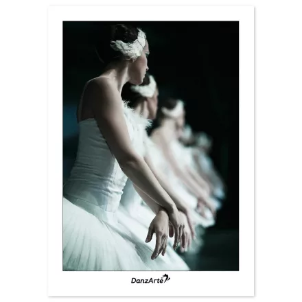 DanzArte “Swan lake” Carte poștală