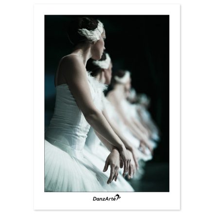 DanzArte képeslap “Swan Lake”