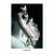 DanzArte “Swan Lake” Postkarte