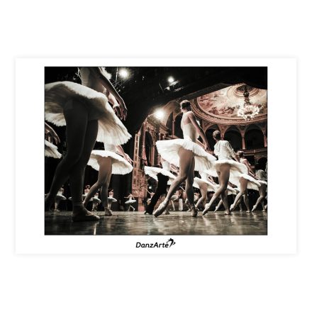 DanzArte képeslap "Swan Lake Rehearsal"