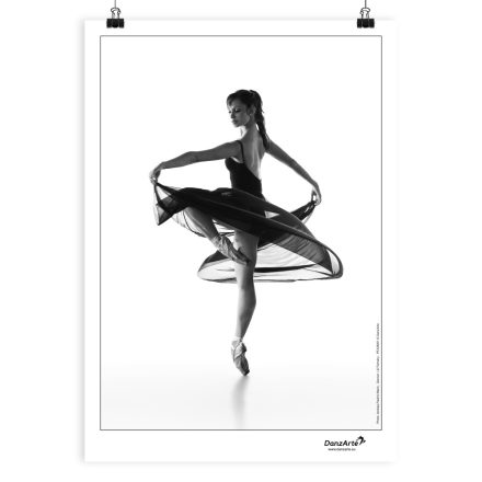 DanzArte “Turning Pointe” Poster A3