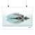 DanzArte “Swan” A3 Poszter
