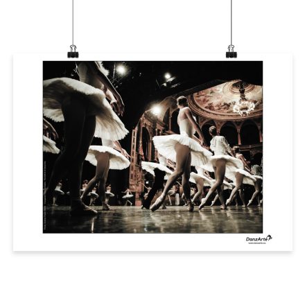 DanzArte “Swan Lake Rehearsal” Poster A3