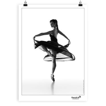 DanzArte “Turning Pointe” Poster