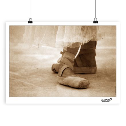 DanzArte “Pointe Shoes Sepia” Poster